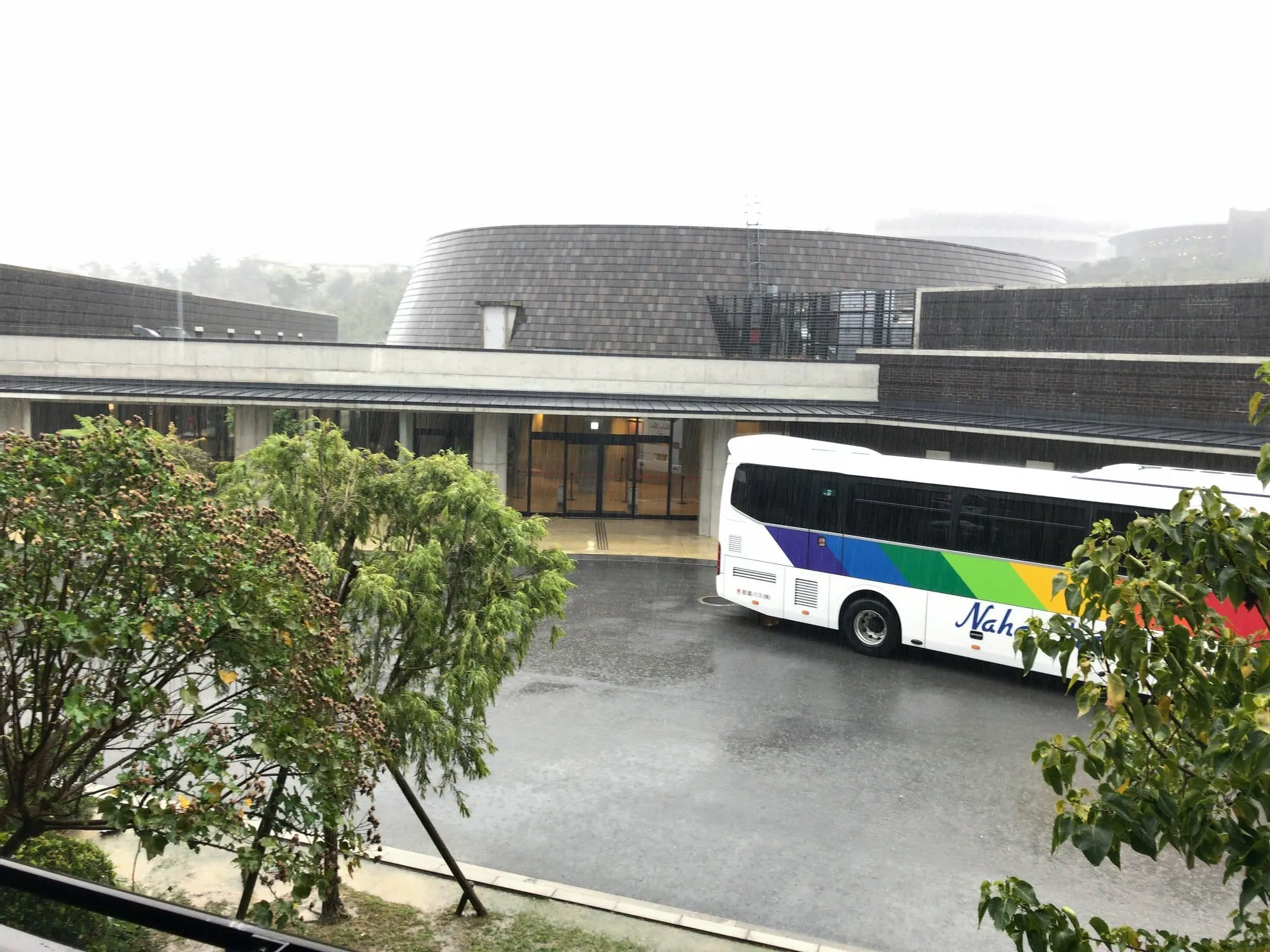 朝から降り続いた雷雨